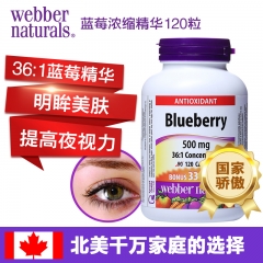 WEBBER韦博蓝莓浓缩精华护眼片